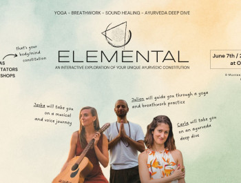 ELEMENTAL-ECHO-Cover_main