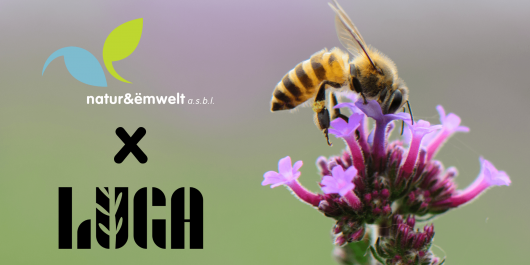 LUGA-n-e-Event-Banner-3-min_main