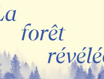CC-Foret_Banners_main