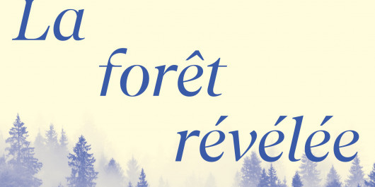 CC-Foret_Banners_main