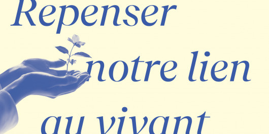 CC-Foret_Banners5_main