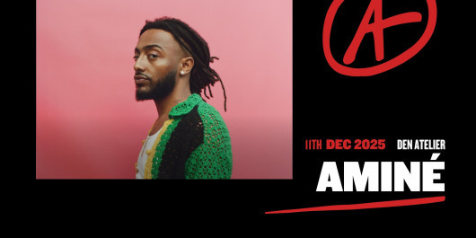amine-_main