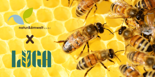 LUGA-n-e-Event-Banner-1-min_main