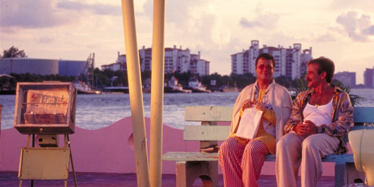 The-Birdcage_02_main