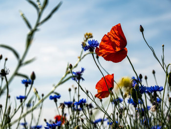 palle-knudsen-pn32osmwfhq-unsplash-scaled_main