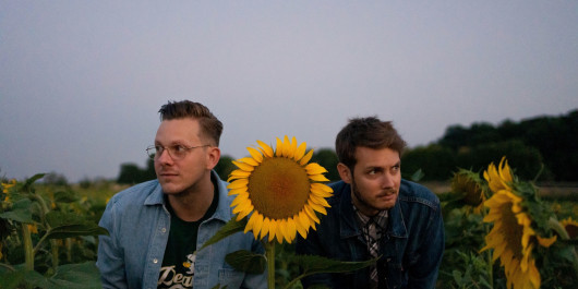 The_Cookie_Jar_Complot-sunflower_WEB_main