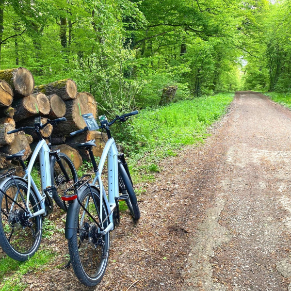 Nature E-Bike Tour - a bike tour for nature lovers
