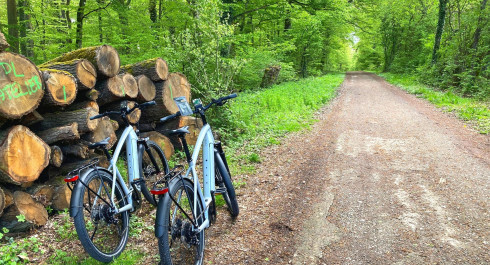 City E-Bike Luxemburg: Perfect for Naturliebhaber