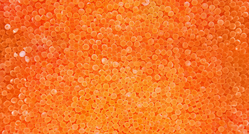 wcbxrwcbxrjpg-1_main
