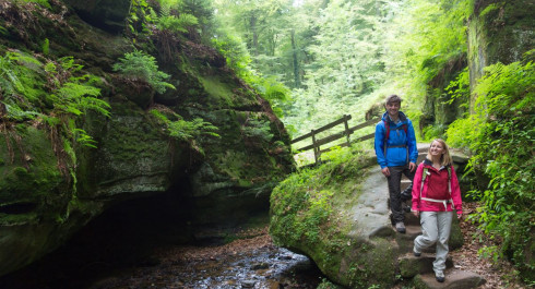 Nature & Castle Day Tour