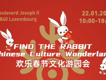 Find the Rabbit: Chinese Culture Wonderland