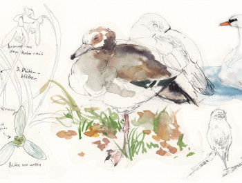 Field Sketching: exploring the outdoors with a sketchbook