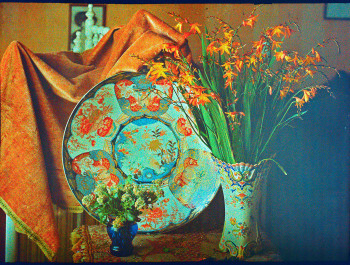 FISCHER_Batty_Nature-morte_ECHO