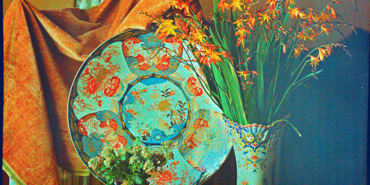 FISCHER_Batty_Nature-morte_ECHO