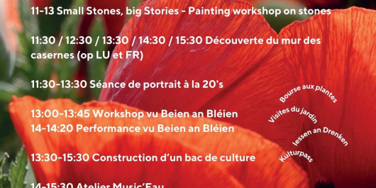 PROMO-PROGRAMM-RDV-AM-GAART-I-2025